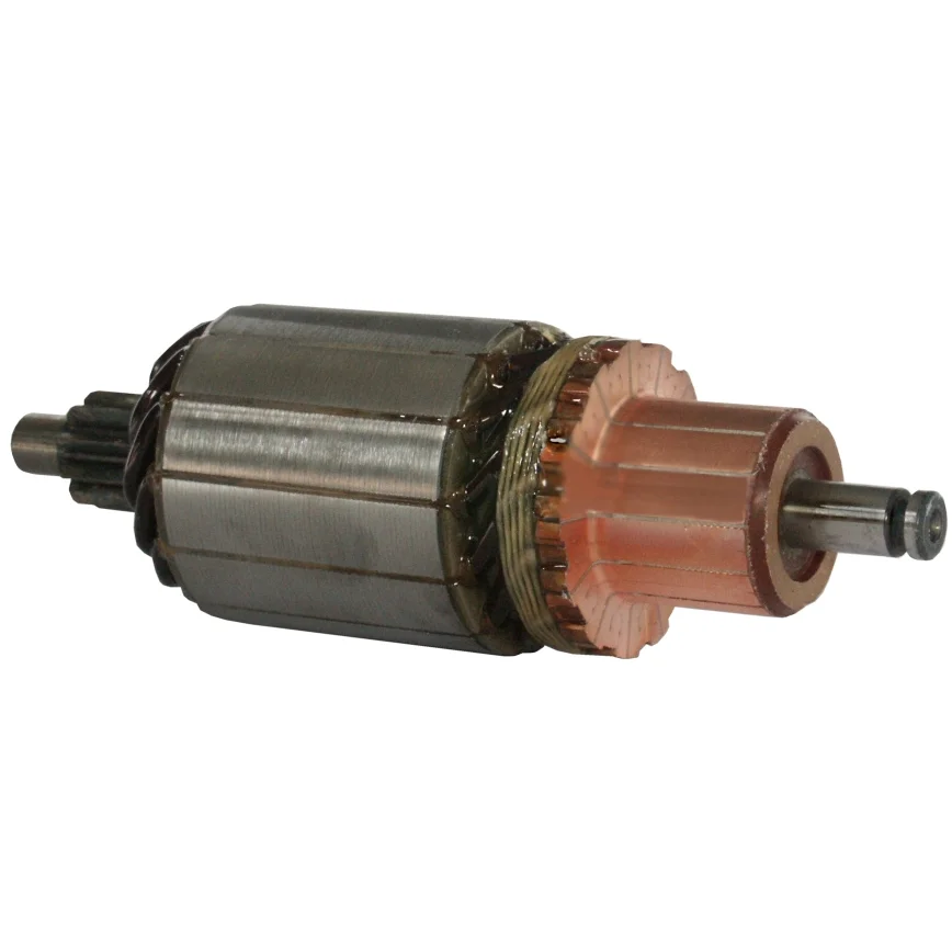 Anker/Rotor