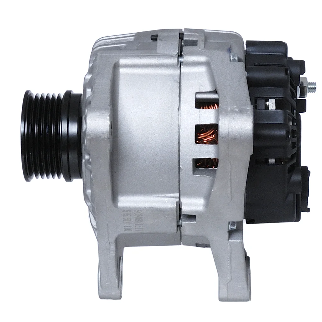 Renault Dynamo 12V-110A