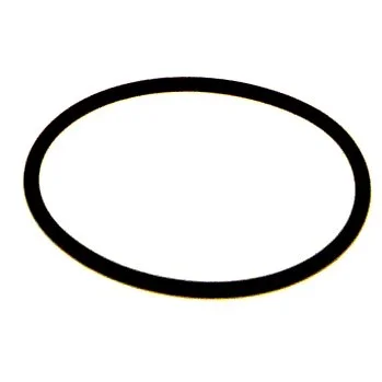 O-ring