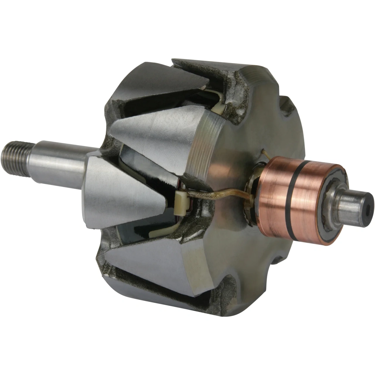 Anker/Rotor