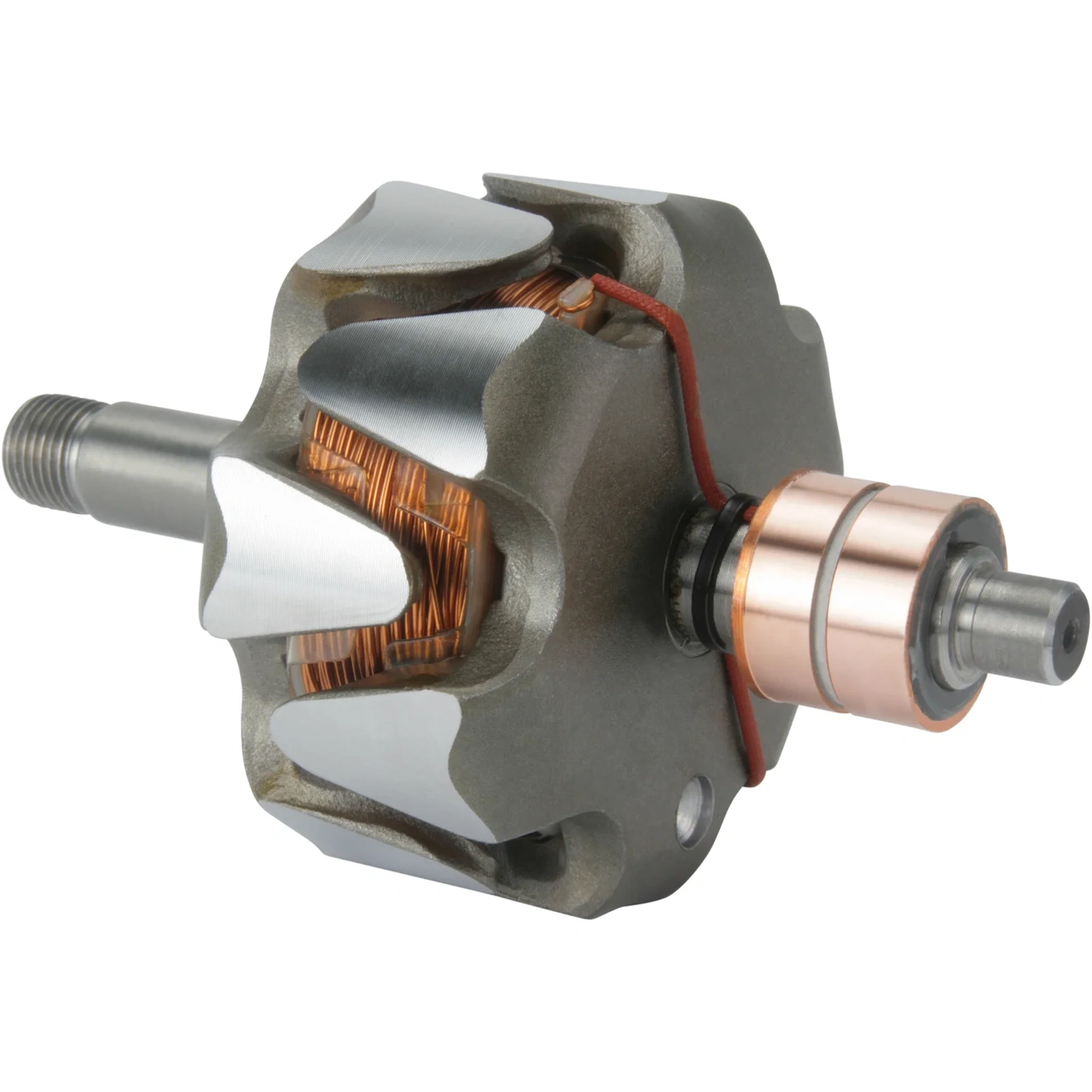 Anker/Rotor