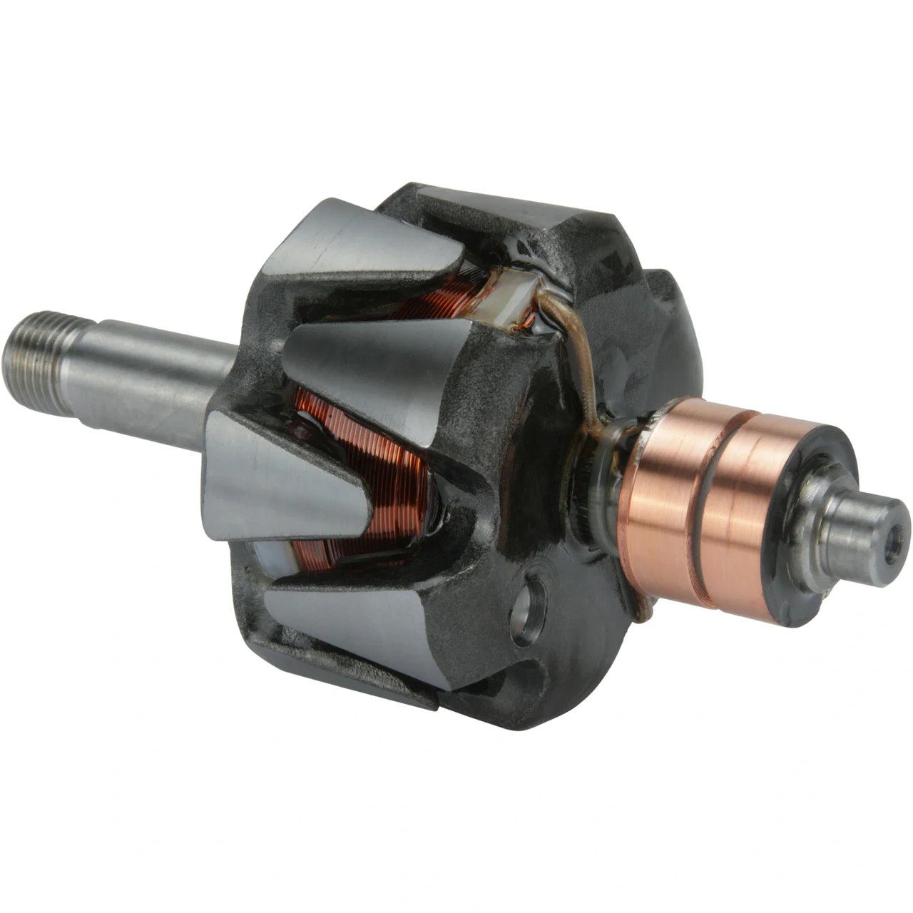 Anker/Rotor