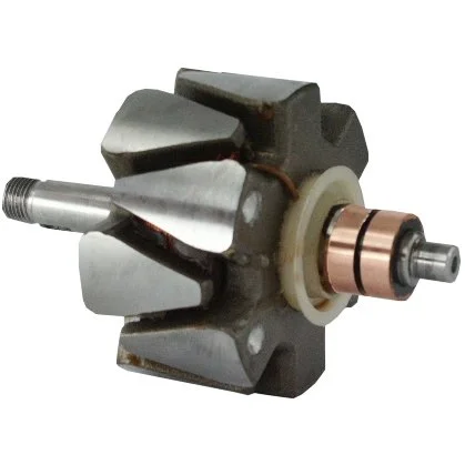 Anker/Rotor