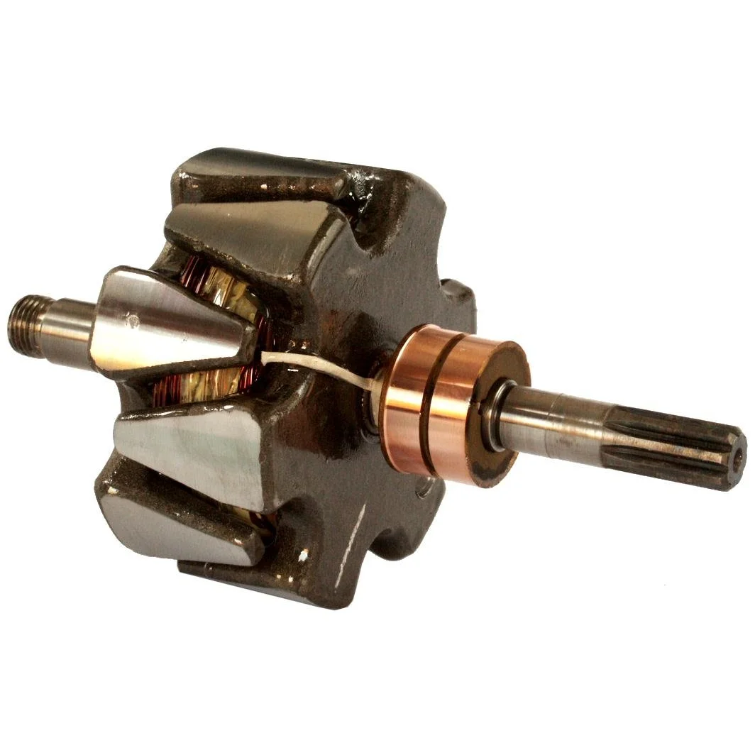 Anker/Rotor