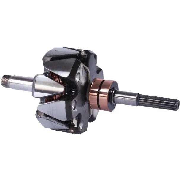 Anker/Rotor