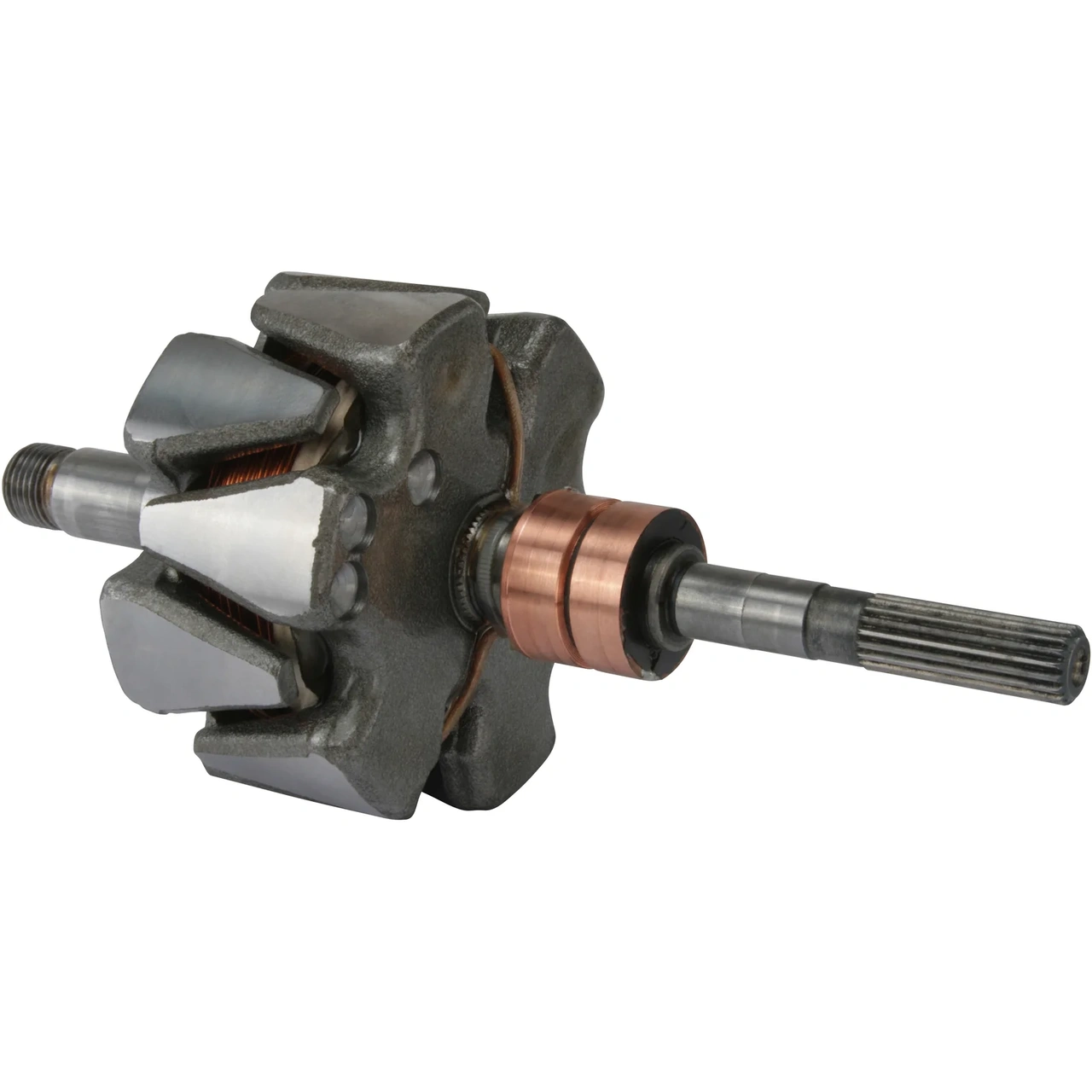 Anker/Rotor