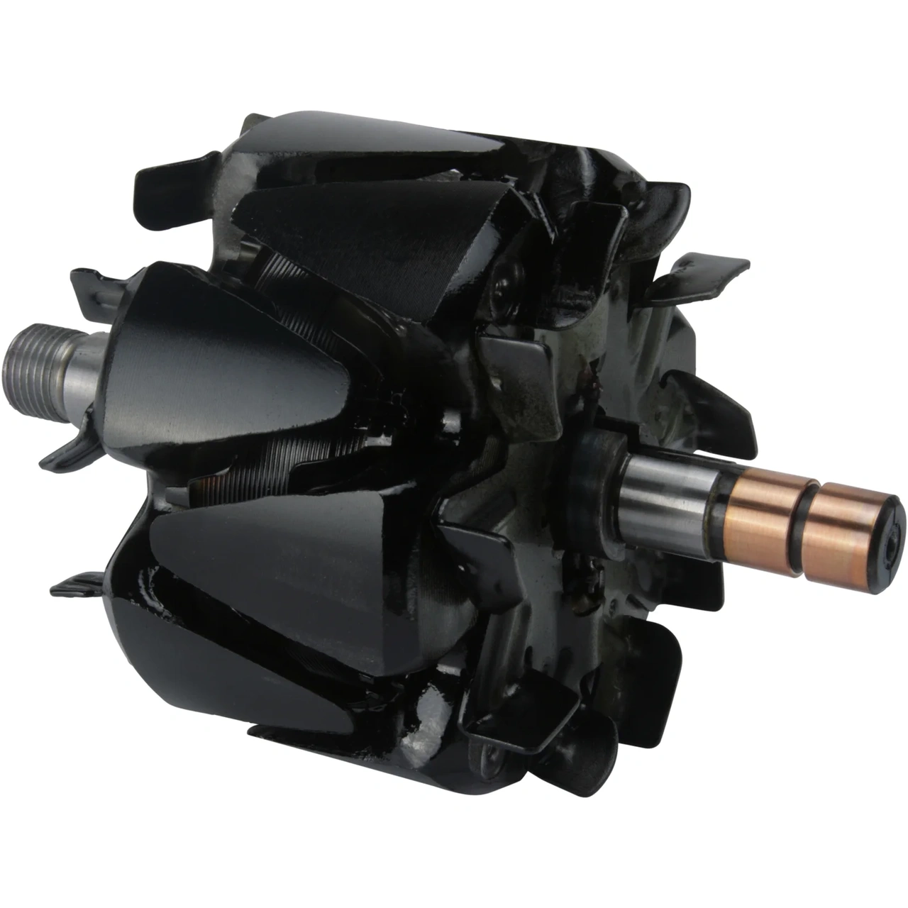 Anker/Rotor