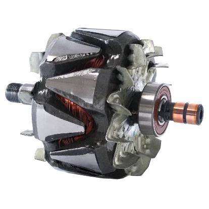 Anker/Rotor