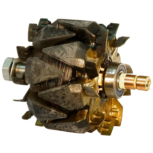 Anker/Rotor