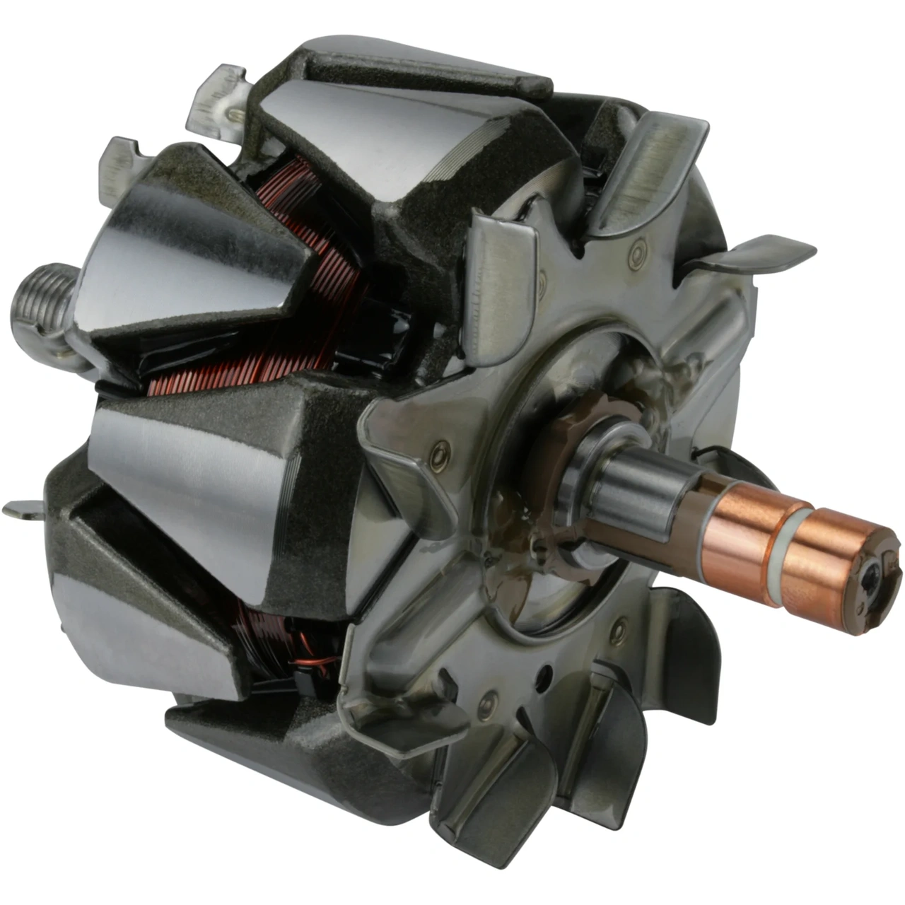 Anker/Rotor
