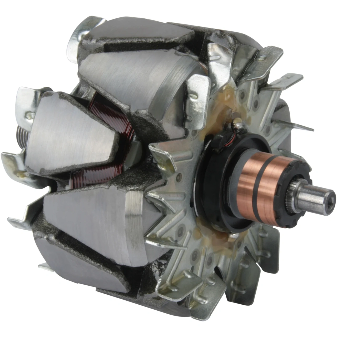 Anker/Rotor