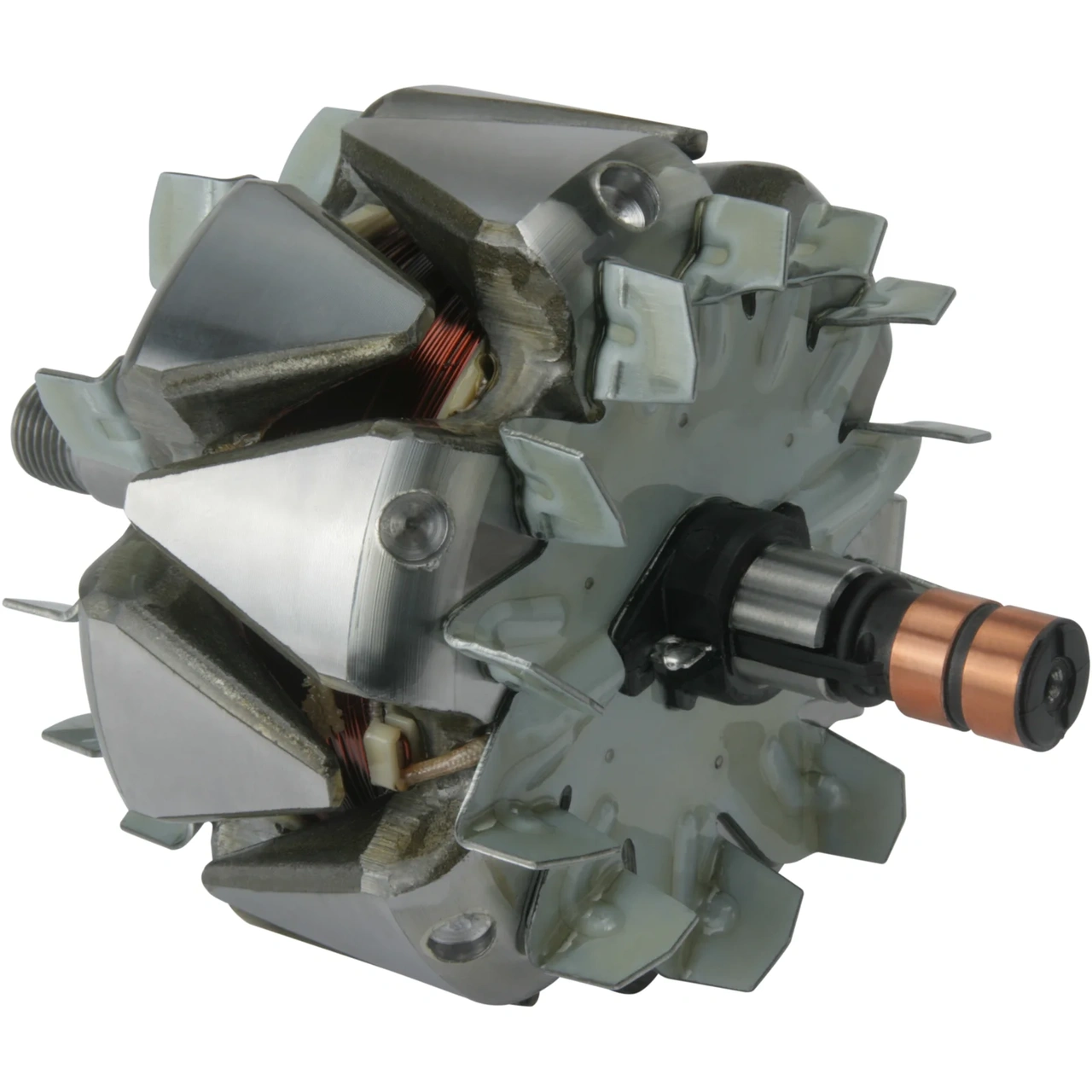 Anker/Rotor