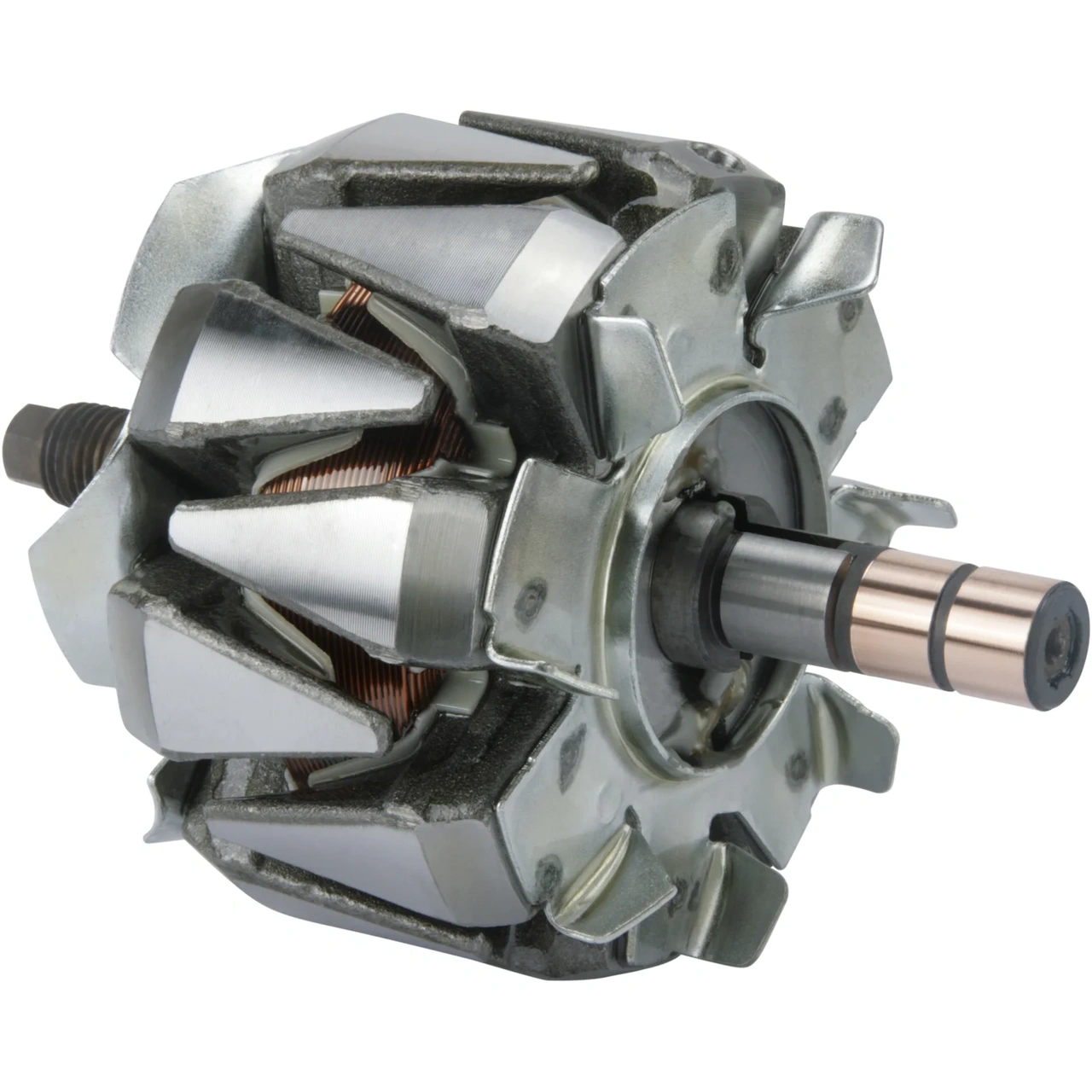 Anker/Rotor