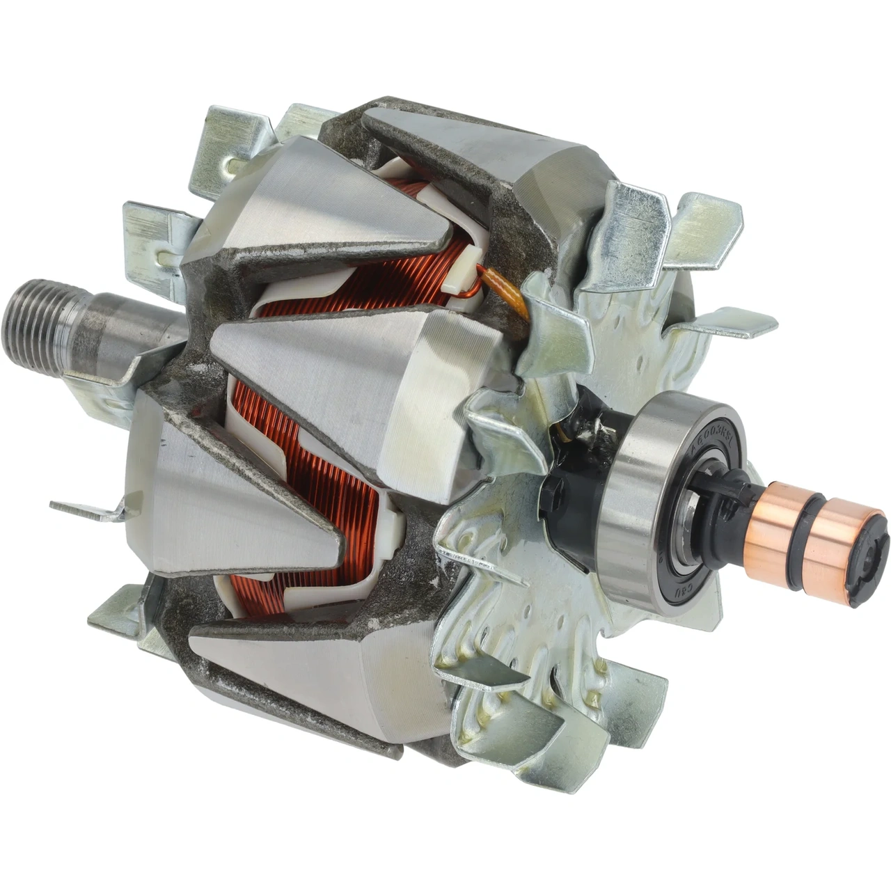 Anker/Rotor