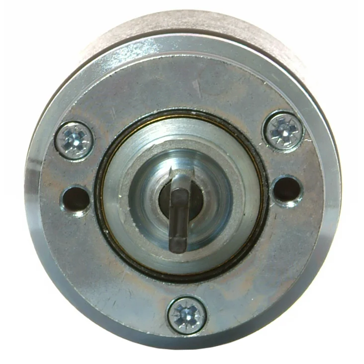 Innslagsrelé 12V