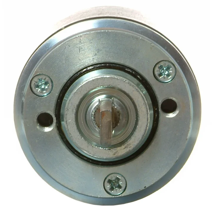 Innslagsrelé 12V