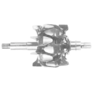 Rotor 12V-55/62A, 20DN serj.