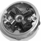 Gavl CE, U.T. Chrys. CP 52650