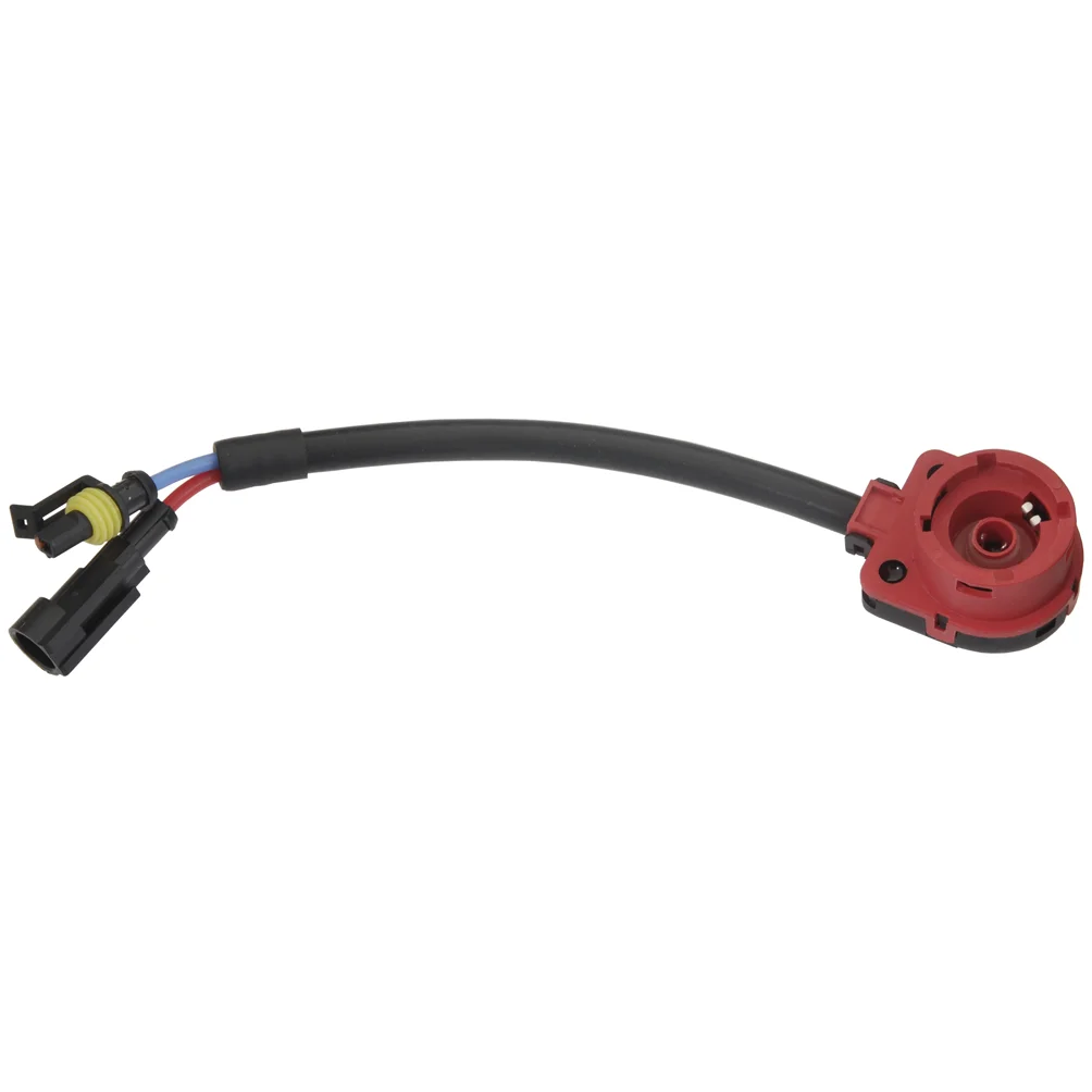 D2 / D4 Plugg Kontakt AMP