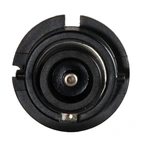 D4S X-T lampe 35W, 4300K, par